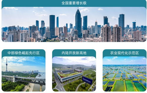 湖北SEO：优化技巧与实践分享,湖北SEO：优化技巧与实践分享,第2张