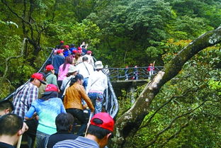 揭秘陪游龙：一个神秘的旅游服务平台,揭秘陪游龙：一个神秘的旅游服务平台,第2张