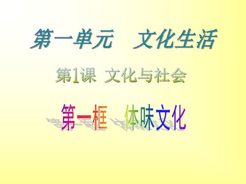 探究郑州夜生活的多样化,探究郑州夜生活的多样化,第3张