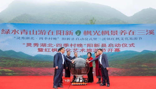 如何设计出高效的黄石旅游网站？,如何设计出高效的黄石旅游网站？,第3张