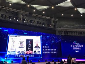 江苏华丽都市的崛起与挑战,江苏华丽都市的崛起与挑战,第1张