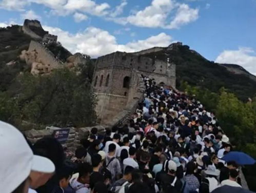 揭秘陪游龙：一个神秘的旅游服务平台,揭秘陪游龙：一个神秘的旅游服务平台,第1张