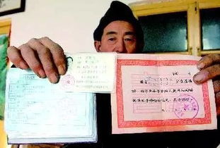如何简单快捷地查询个人重要证件信息？,如何简单快捷地查询个人重要证件信息？,第3张