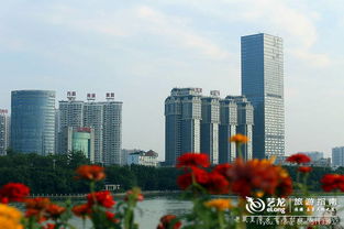 南宁市各大网站汇总：畅游南宁网络世界,南宁市各大网站汇总：畅游南宁网络世界,第2张