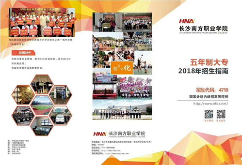 长沙专业网站建设公司为你打造专属网站,长沙专业网站建设公司为你打造专属网站,第2张