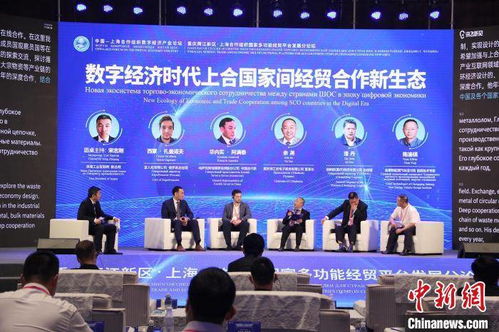 跨越两江，聚集全球-2022年重庆两江论坛预告,跨越两江，聚集全球-2022年重庆两江论坛预告,第3张
