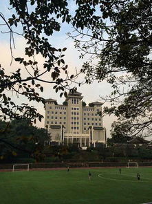 荔园晨风-湖南城市大学独家美景，让你体验不一样的校园风光！,荔园晨风-湖南城市大学独家美景，让你体验不一样的校园风光！,第1张