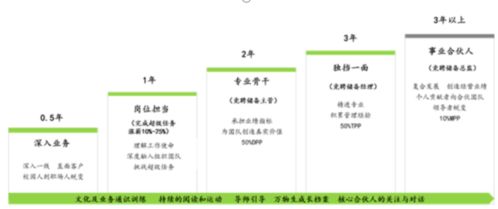 探寻长汀人事人才网的背后故事,探寻长汀人事人才网的背后故事,第3张