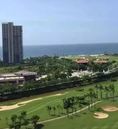 夏日阳光下的千树万花园-阳江市民最爱的休闲地,夏日阳光下的千树万花园-阳江市民最爱的休闲地,第1张