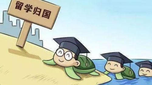 掌握这些技巧，金陵人才网上的职场生涯更加成功,掌握这些技巧，金陵人才网上的职场生涯更加成功,第2张