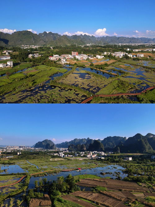 「旅行笔记」探寻南宁中青旅，发现惊喜与美食,「旅行笔记」探寻南宁中青旅，发现惊喜与美食,第3张