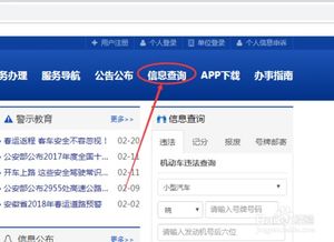 郑州网上车管所违章查询，方便快捷！,郑州网上车管所违章查询，方便快捷！,第3张