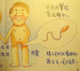 早恋烦恼：十八岁的爱情难题,早恋烦恼：十八岁的爱情难题,第1张