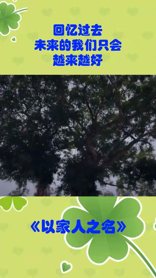重温昔日回忆，拥抱未来美好,重温昔日回忆，拥抱未来美好,第3张