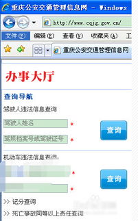 车主必知！如何便捷地查询车辆违章记录？,车主必知！如何便捷地查询车辆违章记录？,第1张