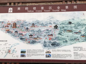 湖北初夏花海探秘，这六条路线让你爱上赏花,湖北初夏花海探秘，这六条路线让你爱上赏花,第1张