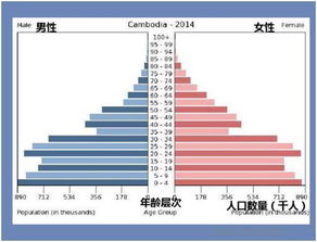 揭秘中国人口红利的真相,揭秘中国人口红利的真相,第1张