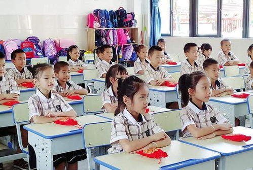 "疑似学校欺凌导致河北衡水五中初一女生坠楼身亡，警方开始调查","疑似学校欺凌导致河北衡水五中初一女生坠楼身亡，警方开始调查",第1张