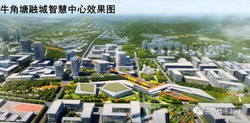 如何获得长沙最新的性资讯？,如何获得长沙最新的性资讯？,第2张