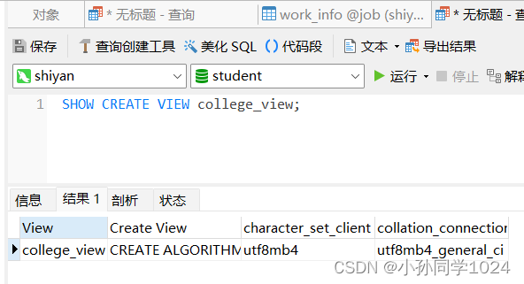 数据库系统原理及MySQL应用教程实验六视图创建与管理,第12张