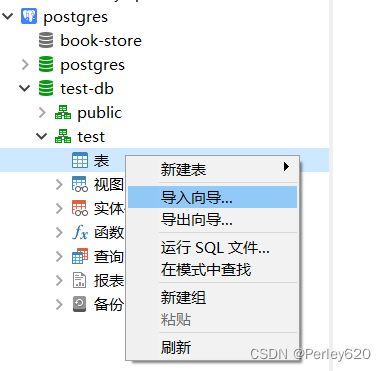 PostgreSQL数据库——Docker版本的postgres安装 & Navicat连接方式+导入向导使用 & SpringBoot结合Jpa使用PostgreSQL初步,在这里插入图片描述,第13张