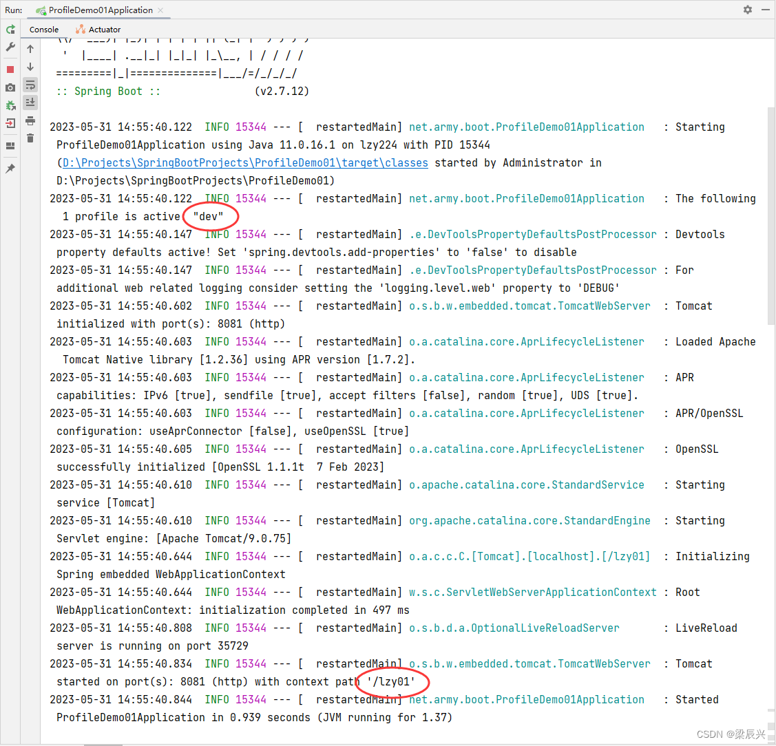 Spring Boot 多环境配置,在这里插入图片描述,第11张
