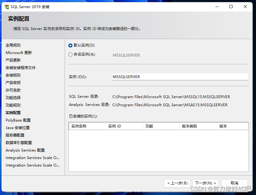 安装SQL Server详细教程,实例,第14张