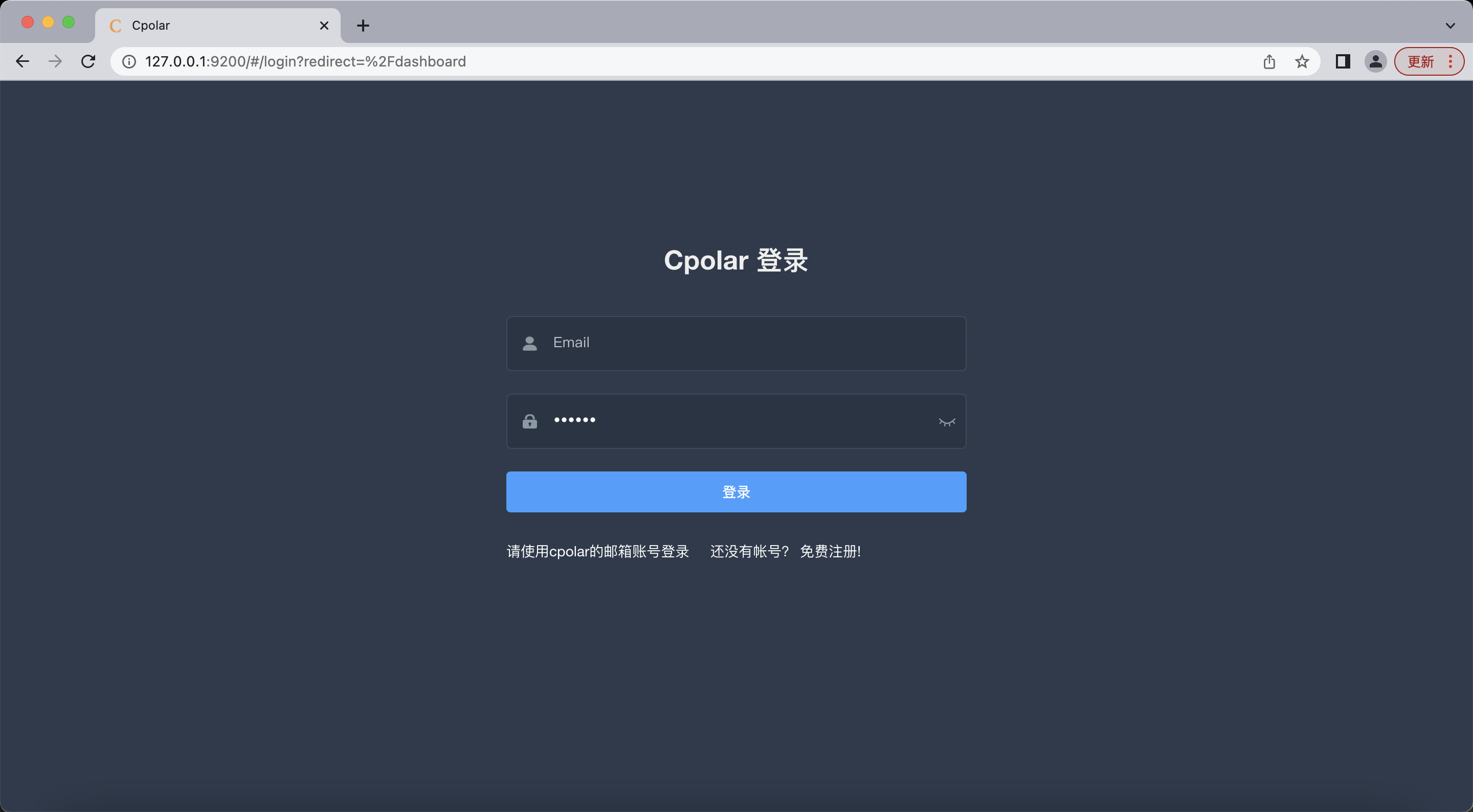 如何快速搭建Spring Boot接口调试环境并实现公网访问,20230130105810,第3张