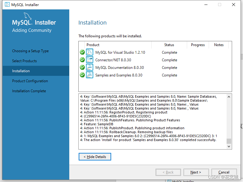 MySQL安装教程（详细）,c8e6c9d89ddc43fa8d5d6a549b8305a0.png,第9张