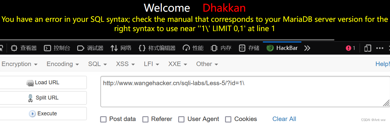 Sqli-lab教程-史上最全详解（1-22通关）,第14张