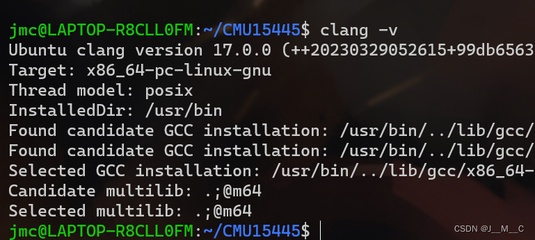 CMU15445（2023 Spring） lab - 环境配置,在这里插入图片描述,第5张