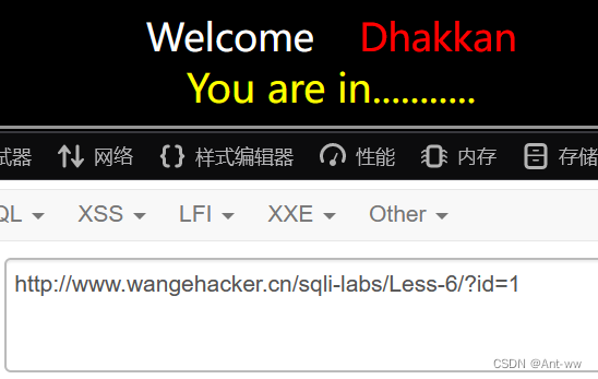 Sqli-lab教程-史上最全详解（1-22通关）,第21张