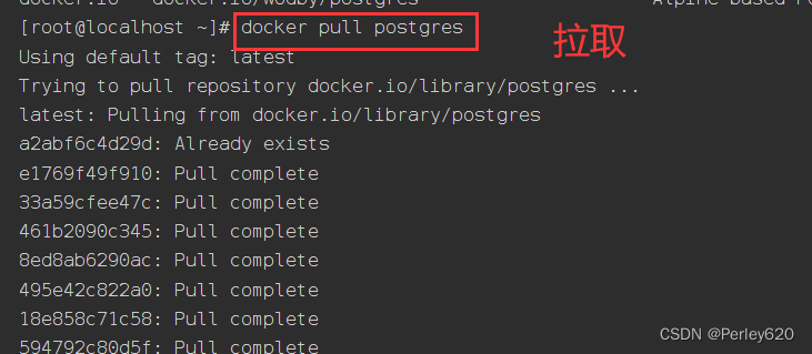 PostgreSQL数据库——Docker版本的postgres安装 & Navicat连接方式+导入向导使用 & SpringBoot结合Jpa使用PostgreSQL初步,在这里插入图片描述,第3张