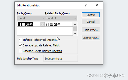 ACCESS从零入门教程,第28张