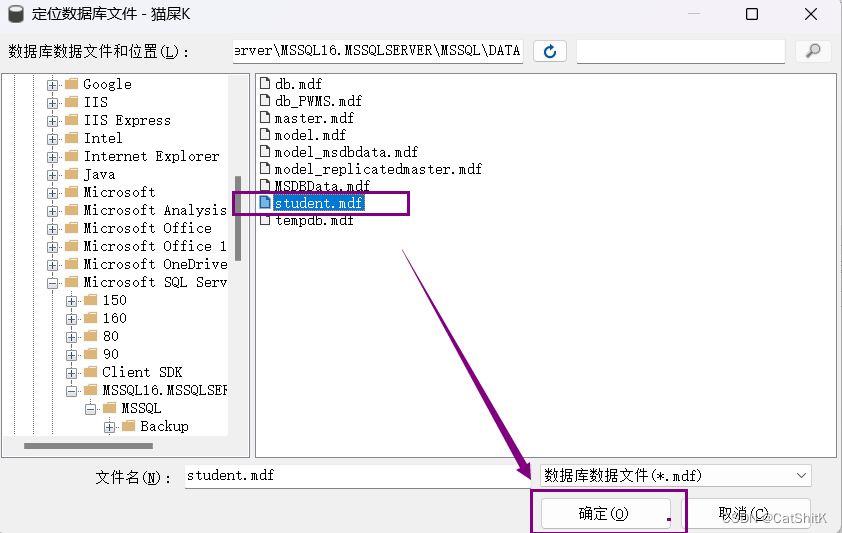 完美解决Window11附加表时: Microsoft SQL Server Management Studio-附加数据库时出错。有关详细信息,请单击“消息”列中,第4张 完美解决Window11附加表时: Microsoft SQL Server Management Studio-附加数据库时出错。有关详细信息,请单击“消息”列中,第4张