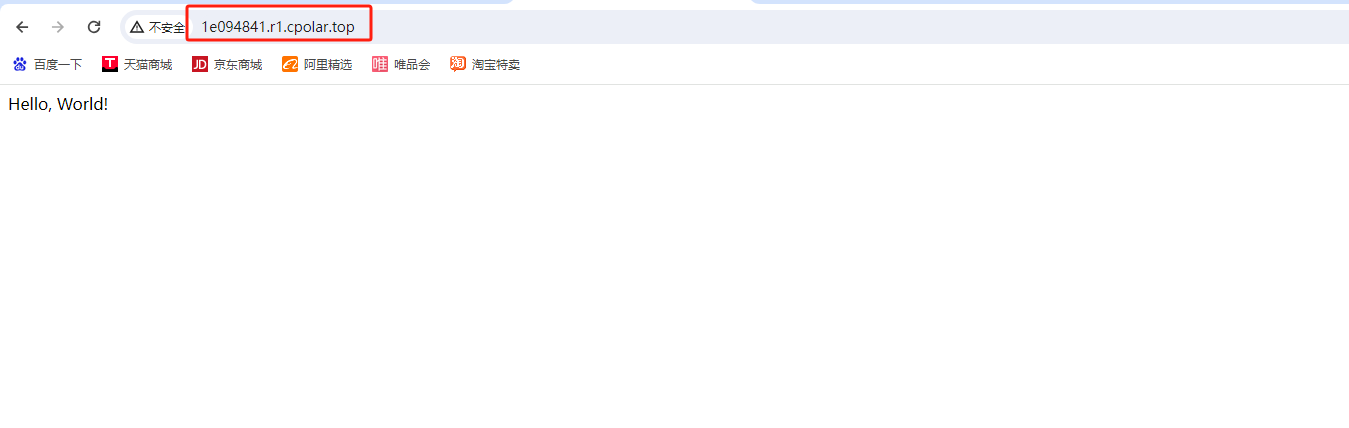 轻量级web开发框架：Flask本地部署及实现公网访问界面,image-20231120171325137,第8张