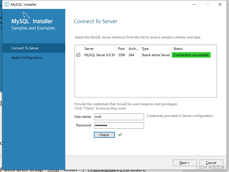 MySQL安装教程（详细）,f65abaf88db84861ab544934d747eb70.png,第20张