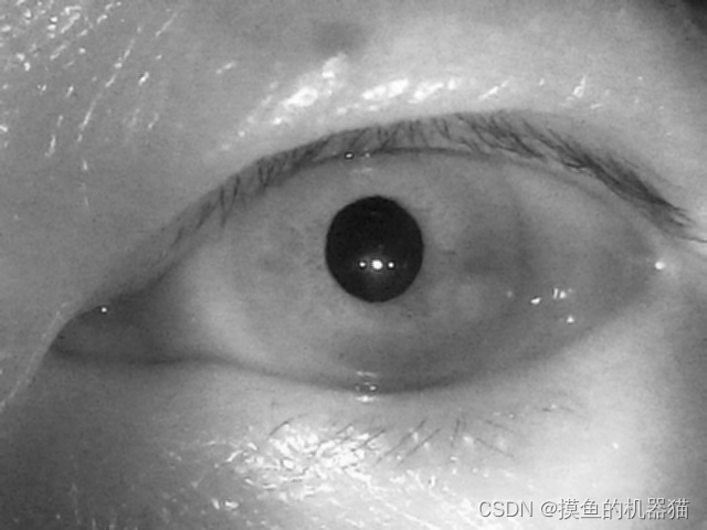 opencv 十五 红外图像中虹膜的提取,在这里插入图片描述,第6张