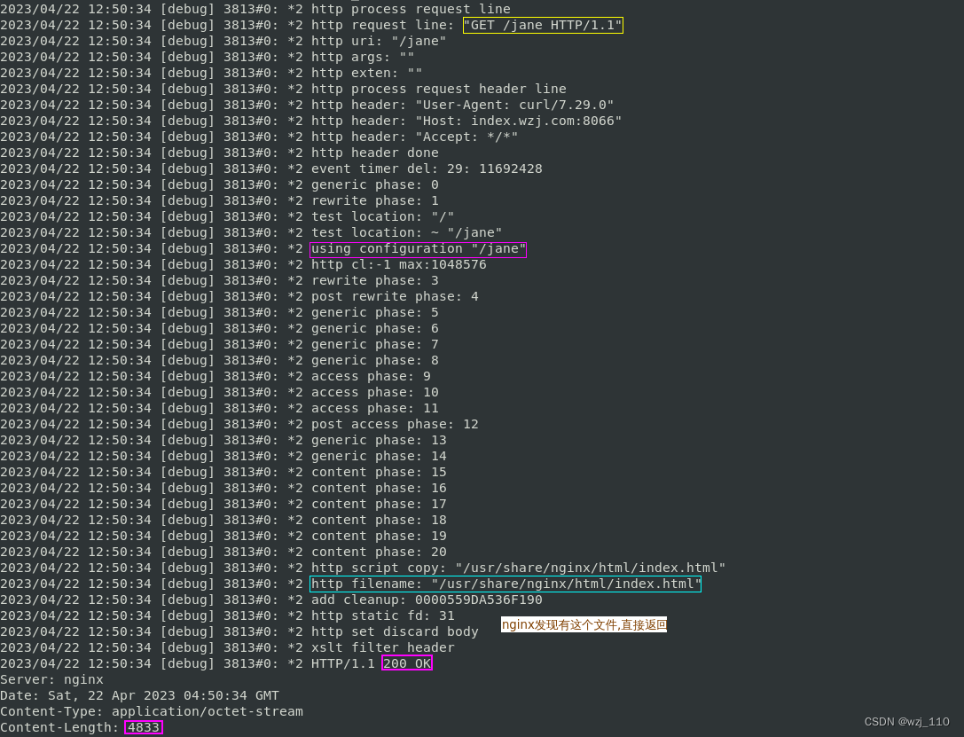 nginx(七十一)root、alias、index、try,第33张