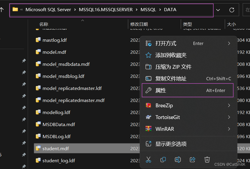 完美解决Window11附加表时: Microsoft SQL Server Management Studio-附加数据库时出错。有关详细信息,请单击“消息”列中,第7张 完美解决Window11附加表时: Microsoft SQL Server Management Studio-附加数据库时出错。有关详细信息,请单击“消息”列中,第7张