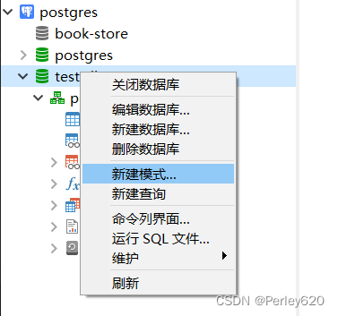 PostgreSQL数据库——Docker版本的postgres安装 & Navicat连接方式+导入向导使用 & SpringBoot结合Jpa使用PostgreSQL初步,在这里插入图片描述,第11张