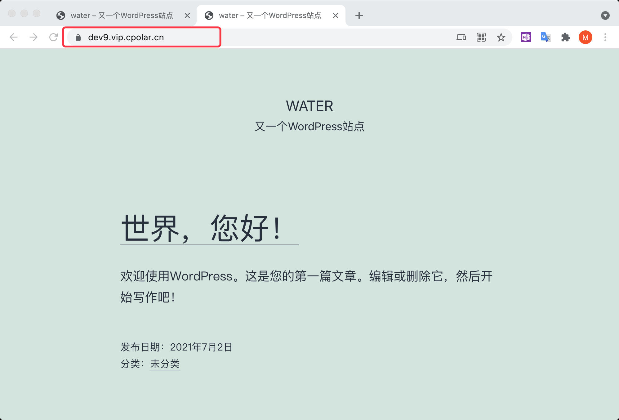 在树莓派上搭建WordPress博客网站，并内网穿透发布到公网,20221117162611,第9张