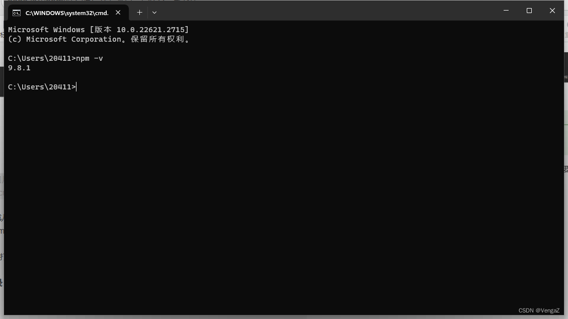 node.js和npm的安装与环境配置（2023最新版）,在这里插入图片描述,第10张