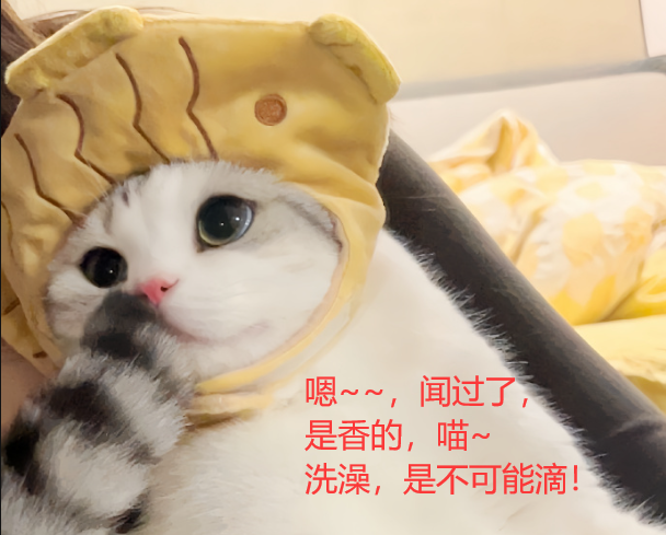 [MySQL]数据库原理2，三大范式，E-R图，DataBase，数据库管理系统（DBMS），Relationship，实体、属性、联系 映射基数，关系型数据库，联系的度数等——喵喵期末不挂科,第16张