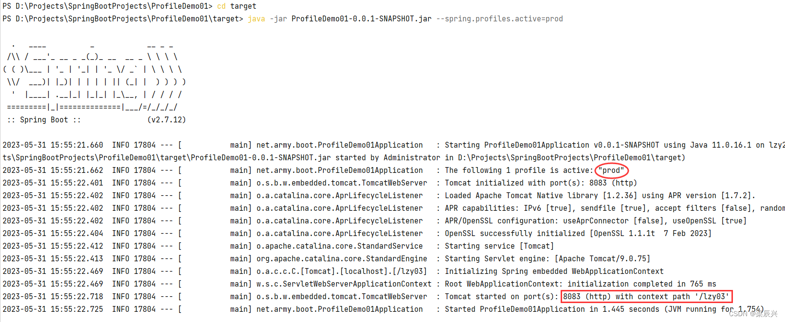 Spring Boot 多环境配置,在这里插入图片描述,第23张