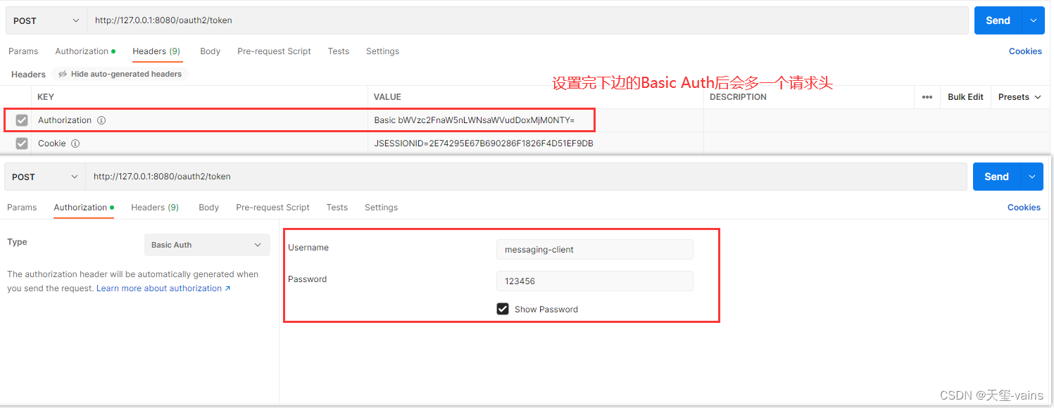 Spring Authorization Server入门 (二) Spring Boot整合Spring Authorization Server,设置Basic Auth图片示例,第7张
