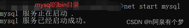 mysql无法成功启动服务的解决办法【通俗易懂】,第16张