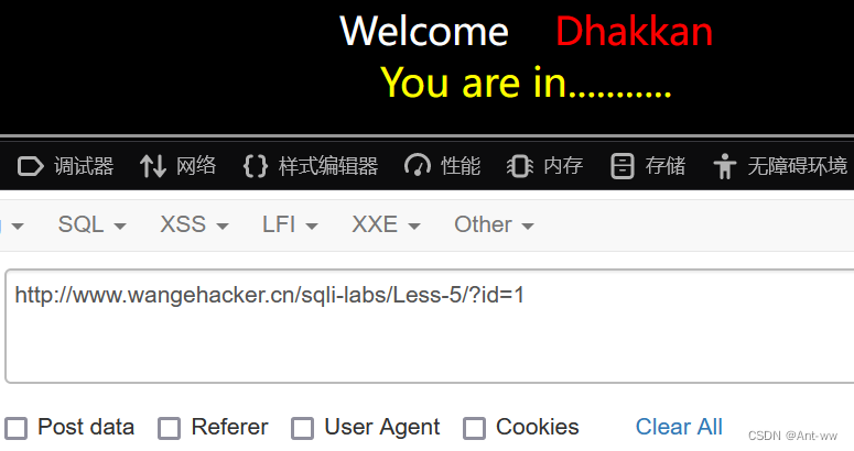 Sqli-lab教程-史上最全详解（1-22通关）,第13张