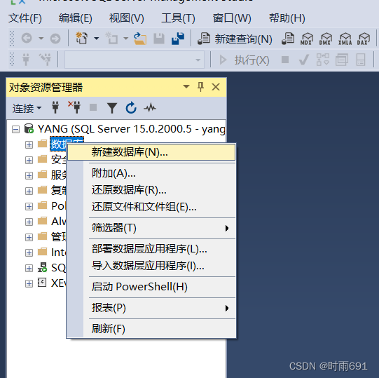 SQL Server详细使用教程(包含启动SQL server服务、建立数据库、建表的详细操作) 非常适合初学者,第14张